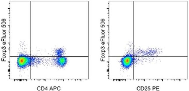 FOXP3 Antibody in Flow Cytometry (Flow)