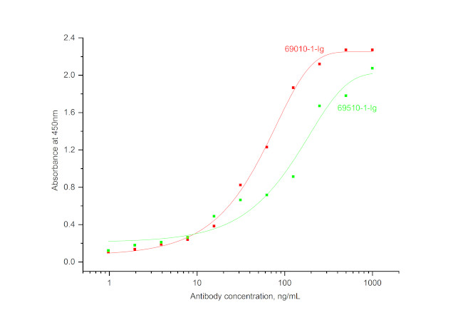 Noggin Antibody in ELISA (ELISA)