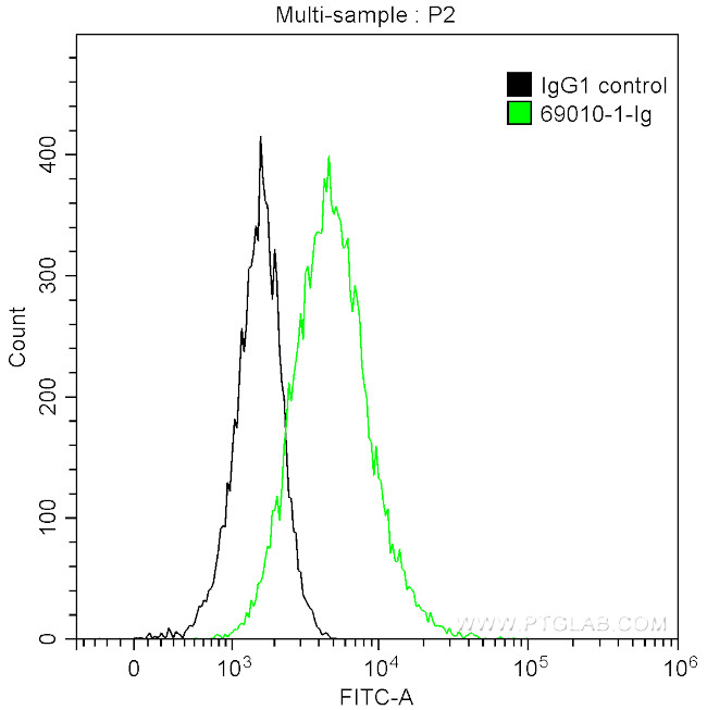 Noggin Antibody in Flow Cytometry (Flow)