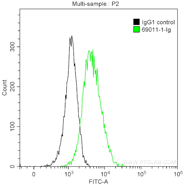 BMP-7 Antibody in Flow Cytometry (Flow)