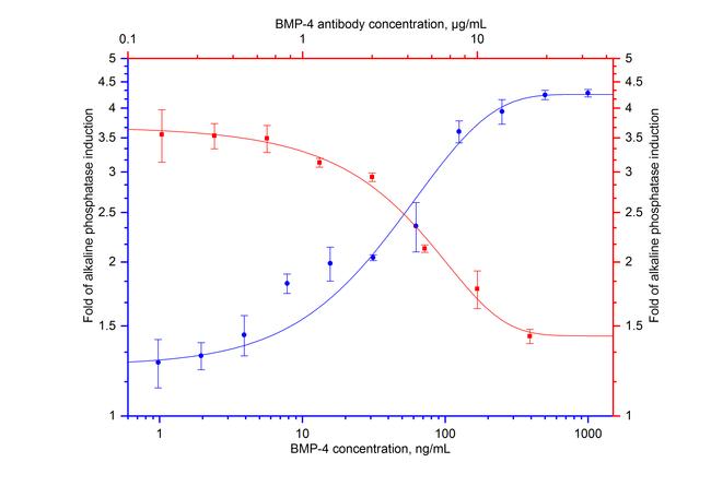 BMP-4 Antibody in Neutralization (Neu)