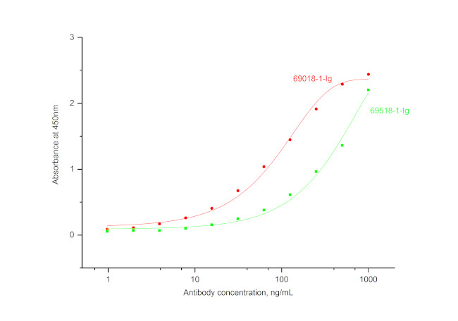 IL-10 Antibody in ELISA (ELISA)