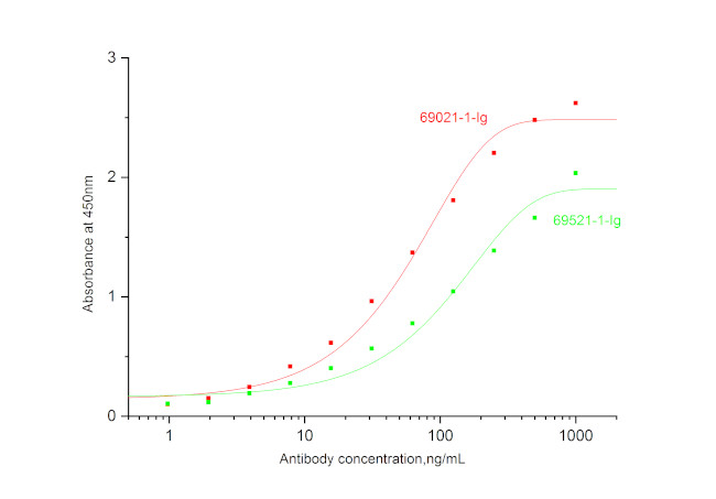 IL-17A Antibody in ELISA (ELISA)