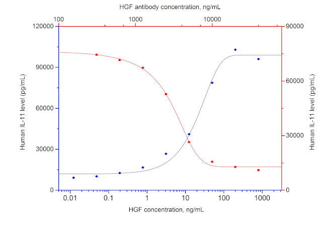 HGF Antibody in Neutralization (Neu)