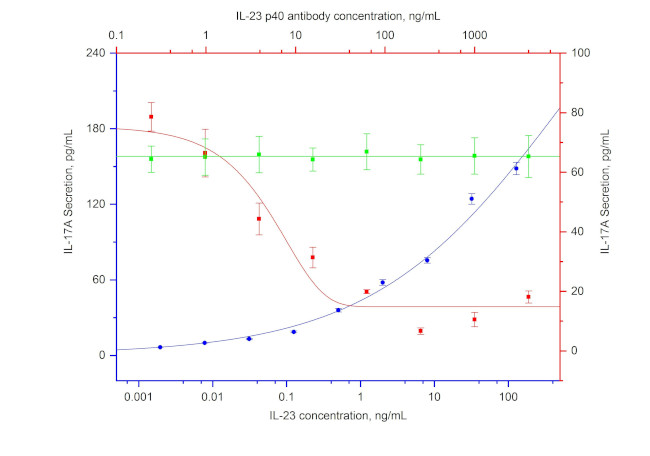 IL-23 p40 Antibody