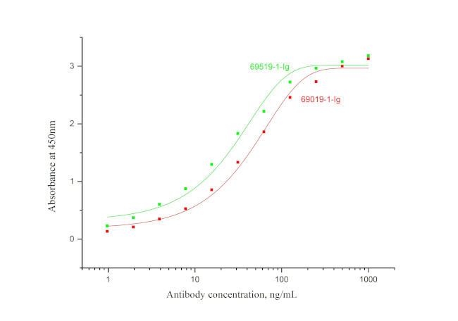 EPO Antibody in ELISA (ELISA)