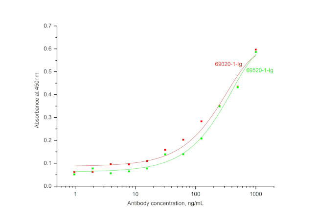 PDGF-BB Antibody in ELISA (ELISA)