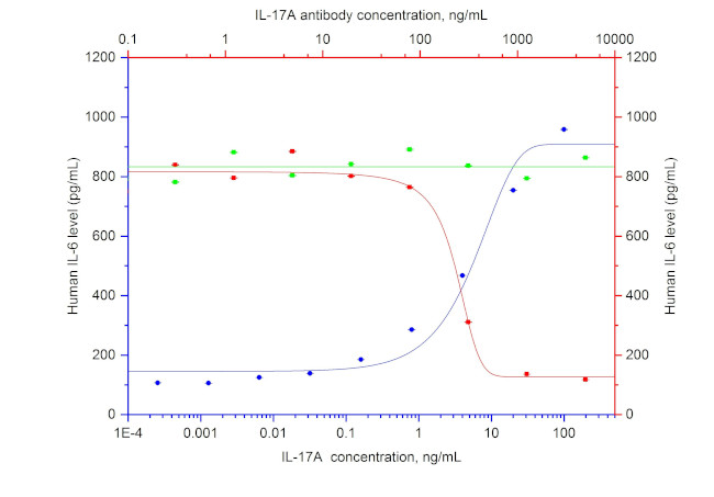 IL-17A Antibody