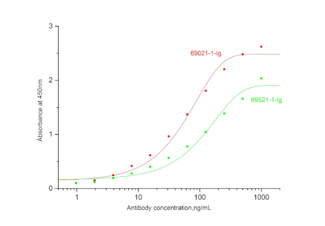 IL-17A Antibody in ELISA (ELISA)