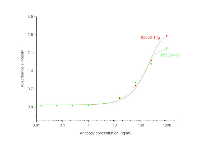 SCF Antibody in ELISA (ELISA)