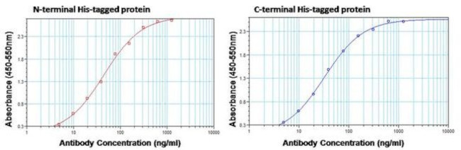 6x-His Tag Antibody in ELISA (ELISA)