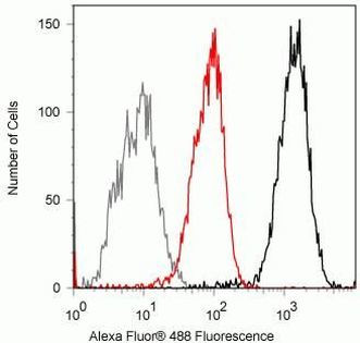 PYK2 Antibody in Flow Cytometry (Flow)