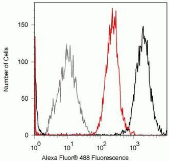 STAT4 Antibody in Flow Cytometry (Flow)