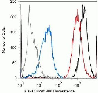 Phospho-4EBP1 (Thr37) Antibody in Flow Cytometry (Flow)