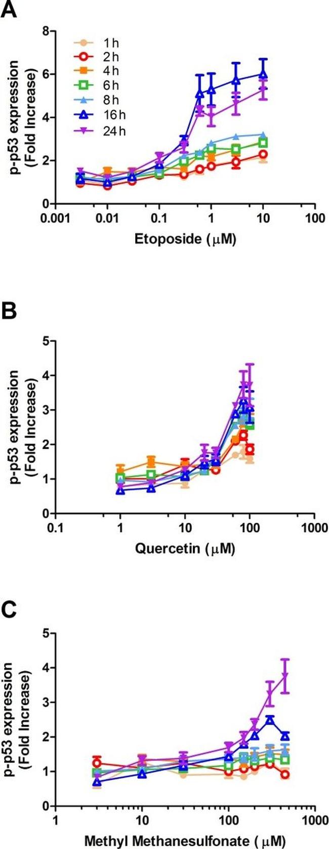 Phospho-p53 (Ser15) Antibody in Flow Cytometry (Flow)