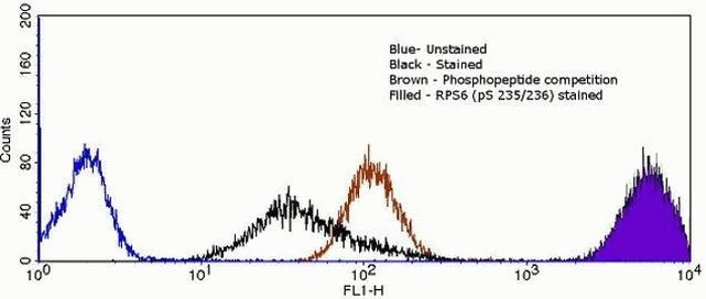 Phospho-S6 (Ser235, Ser236) Antibody in Flow Cytometry (Flow)