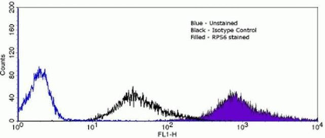 S6 Antibody in Flow Cytometry (Flow)