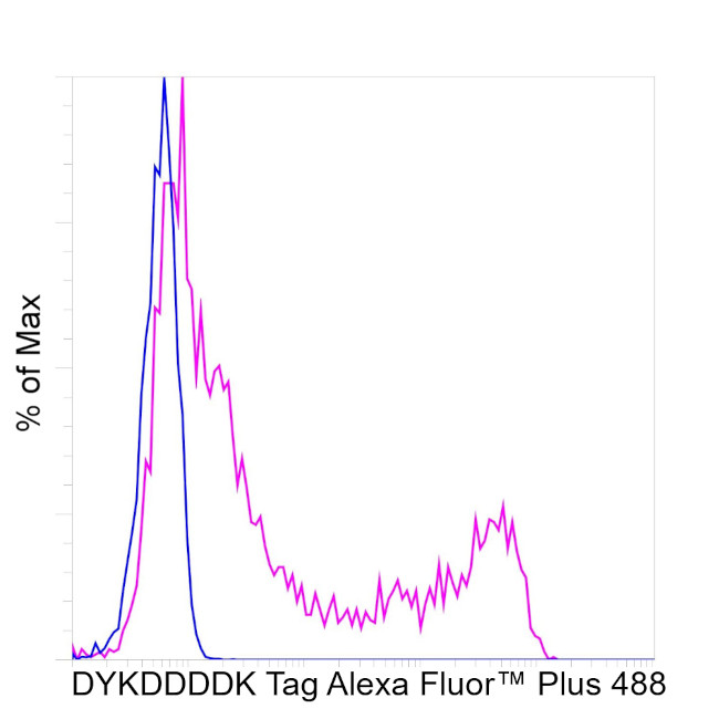 DYKDDDDK Tag Antibody in Flow Cytometry (Flow)