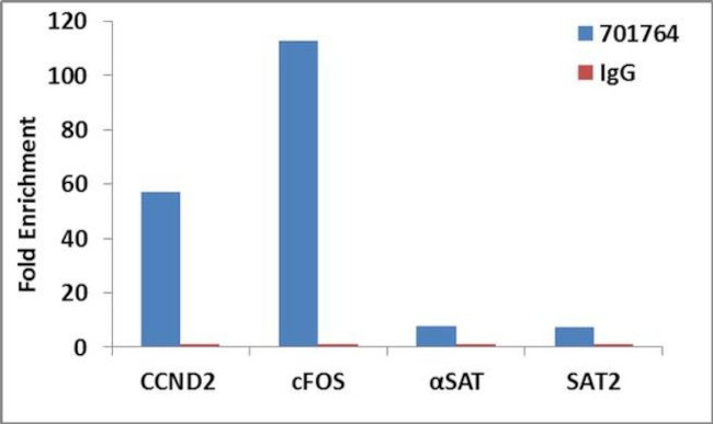 H3K4me2 Antibody