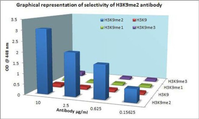 H3K9me2 Antibody in ELISA (ELISA)