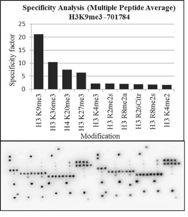 H3K9me3 Antibody in Peptide array (ARRAY)