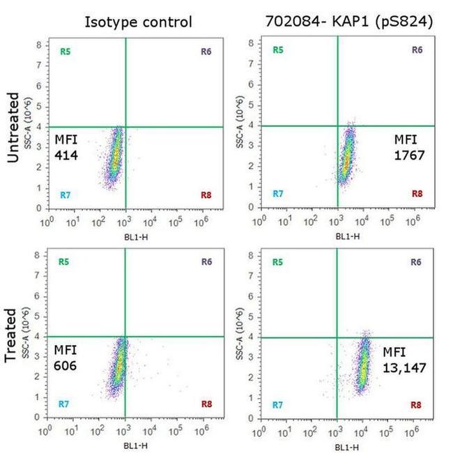 Phospho-TRIM28 (Ser824) Antibody