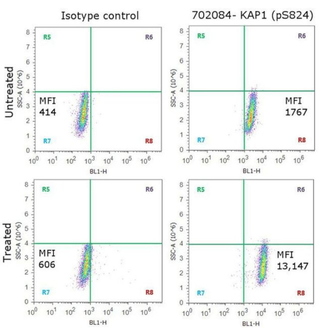 Phospho-TRIM28 (Ser824) Antibody in Flow Cytometry (Flow)