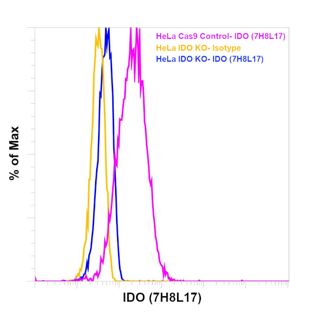 IDO Antibody