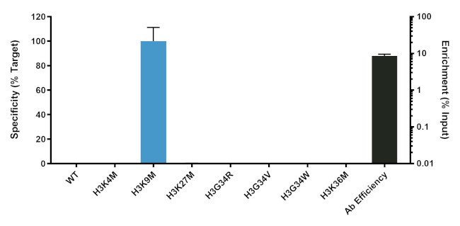 H3.3 K9M oncohistone mutant Antibody