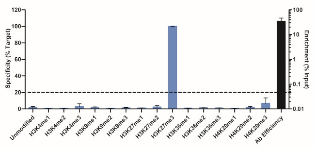 H3K27me3 Antibody