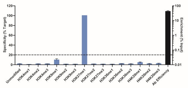 H3K27me1 Antibody in ChIP Assay (ChIP)