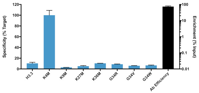 H3.3 K4M Antibody in ChIP Assay (ChIP)