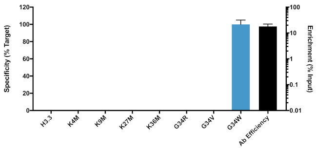 H3.3 G34W oncohistone mutant Antibody in ChIP Assay (ChIP)