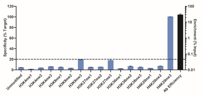 H4K20me3 Antibody in ChIP Assay (ChIP)