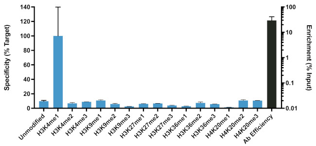 H3K4me1 Antibody in ChIP Assay (ChIP)