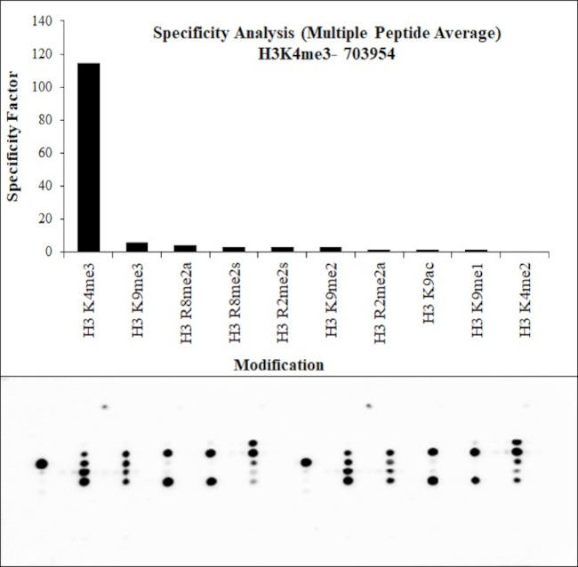 H3K4me3 Antibody in Peptide array (ARRAY)