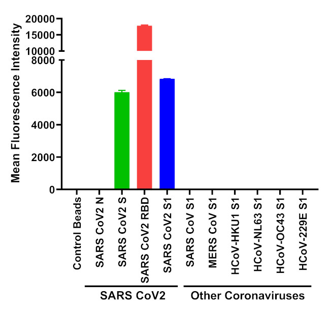 SARS-CoV-2 Spike Protein (RBD) Antibody