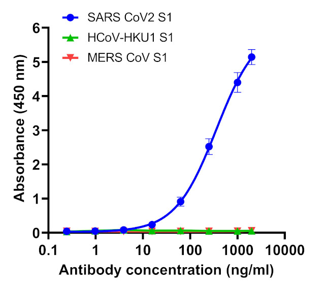 SARS-CoV-2 Spike Protein (RBD) Chimeric Antibody in ELISA (ELISA)