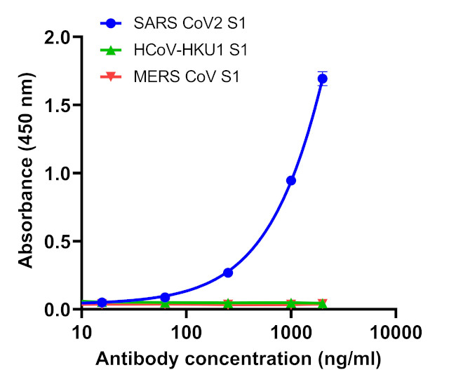 SARS-CoV-2 Spike Protein (RBD) Antibody