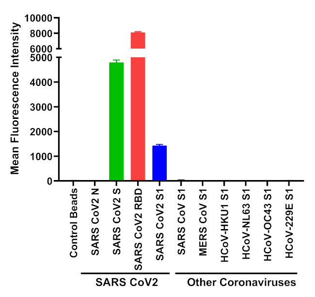 SARS-CoV-2 Spike Protein (RBD) Antibody