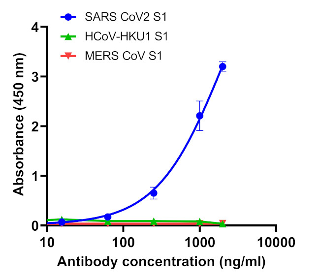 SARS-CoV-2 Spike Protein (RBD) Chimeric Antibody in ELISA (ELISA)