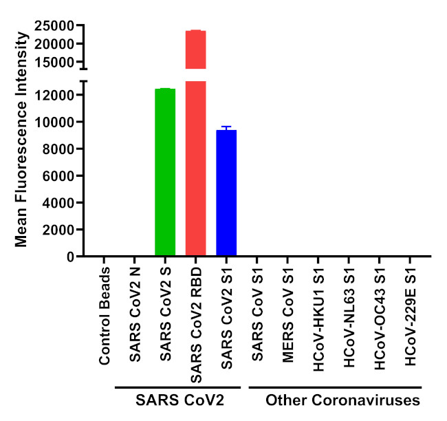 SARS-CoV-2 Spike Protein (RBD) Antibody