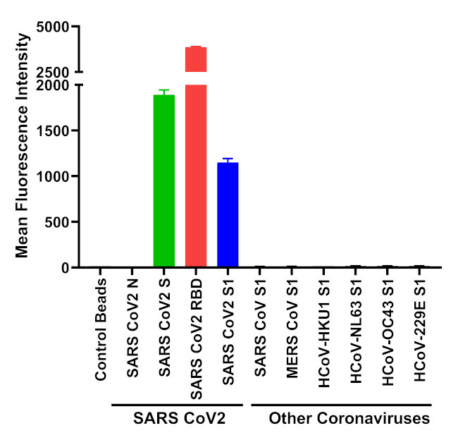 SARS-CoV-2 Spike Protein (RBD) Chimeric Antibody