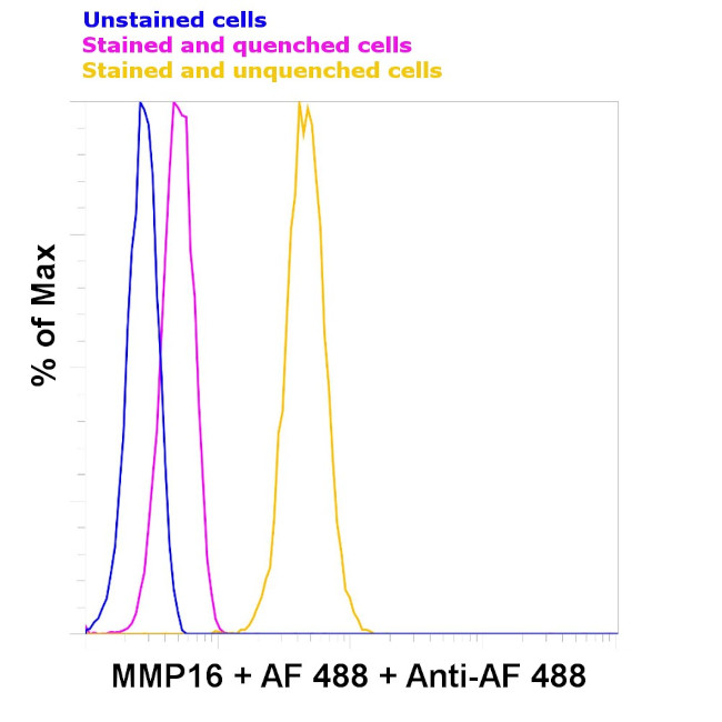 Alexa Fluor 488 Antibody in Flow Cytometry (Flow)