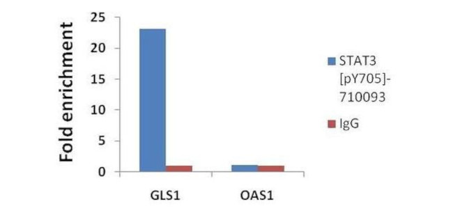 Phospho-STAT3 (Tyr705) Antibody