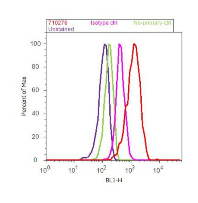 TGF beta-2 Antibody in Flow Cytometry (Flow)