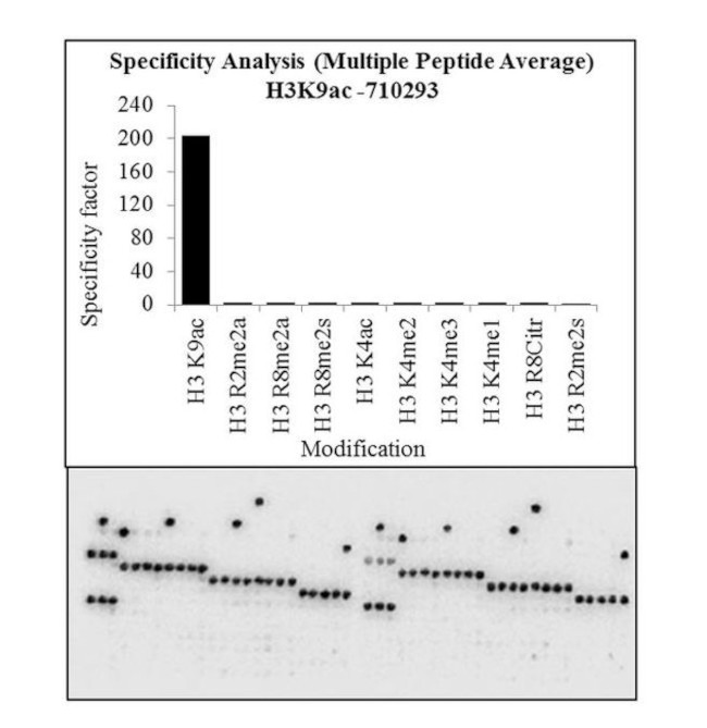 H3K9ac Antibody in Peptide array (ARRAY)