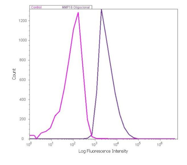 MMP16 Antibody in Flow Cytometry (Flow)