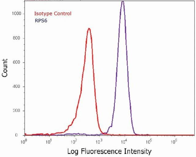 S6 Antibody in Flow Cytometry (Flow)