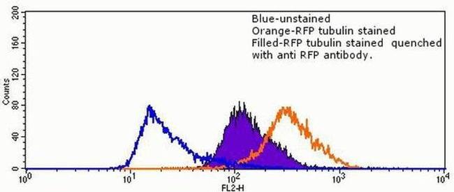 RFP Antibody